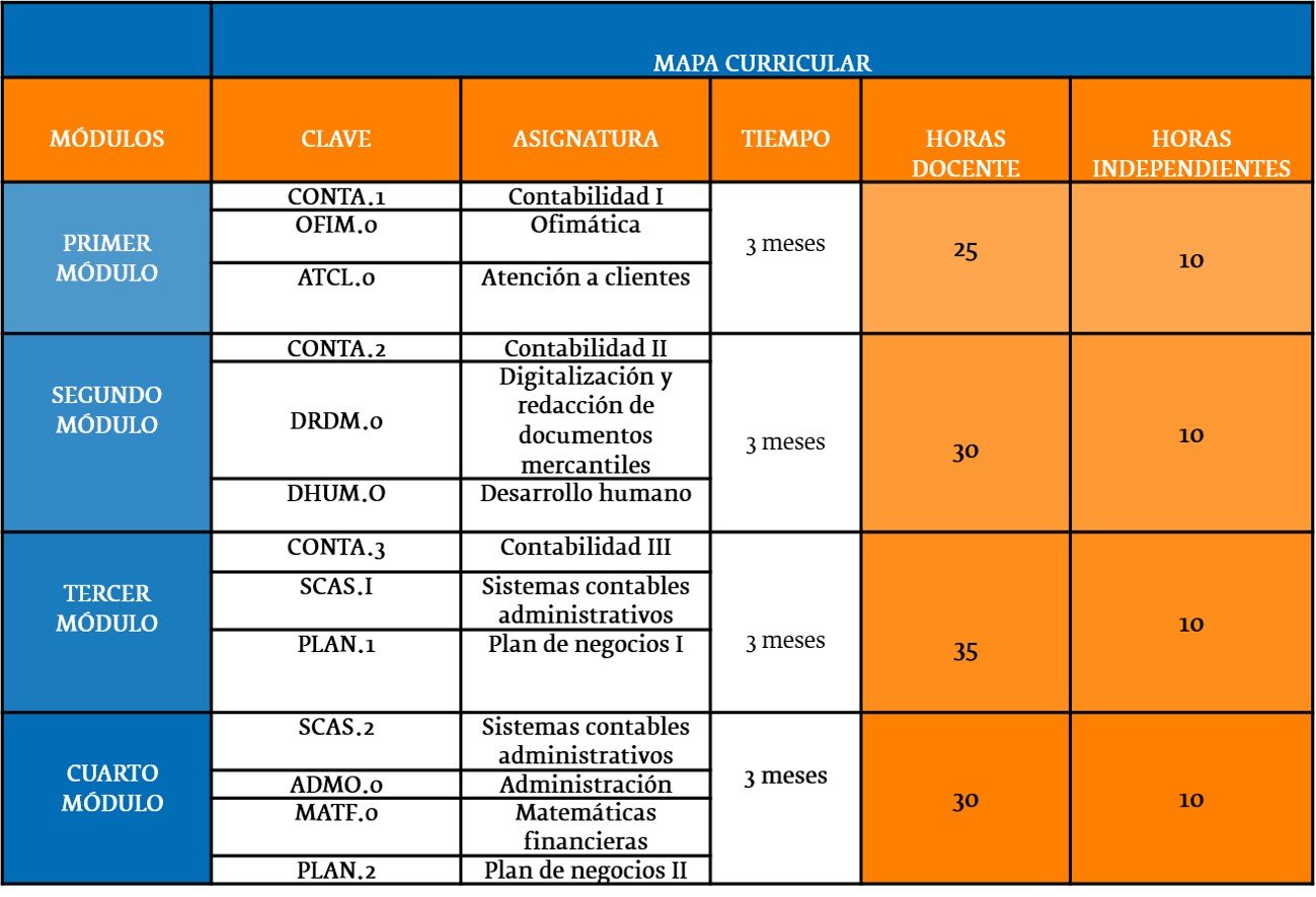 Mapa curricular de Auxiliar Técnico en Contabilidad