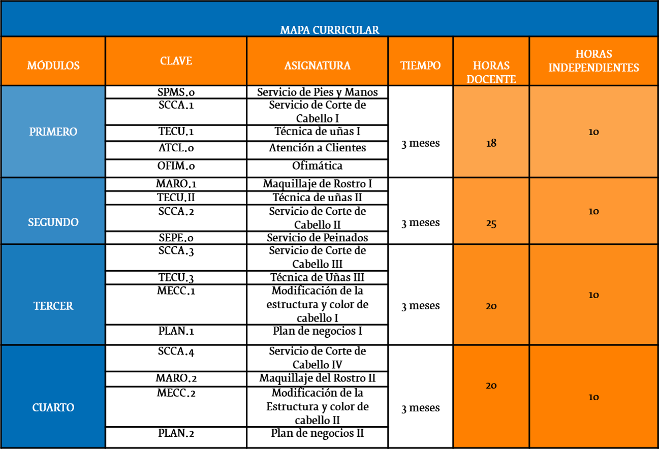 Mapa curricular de Auxiliar Técnico en Soporte y Mantenimiento de Computadoras
