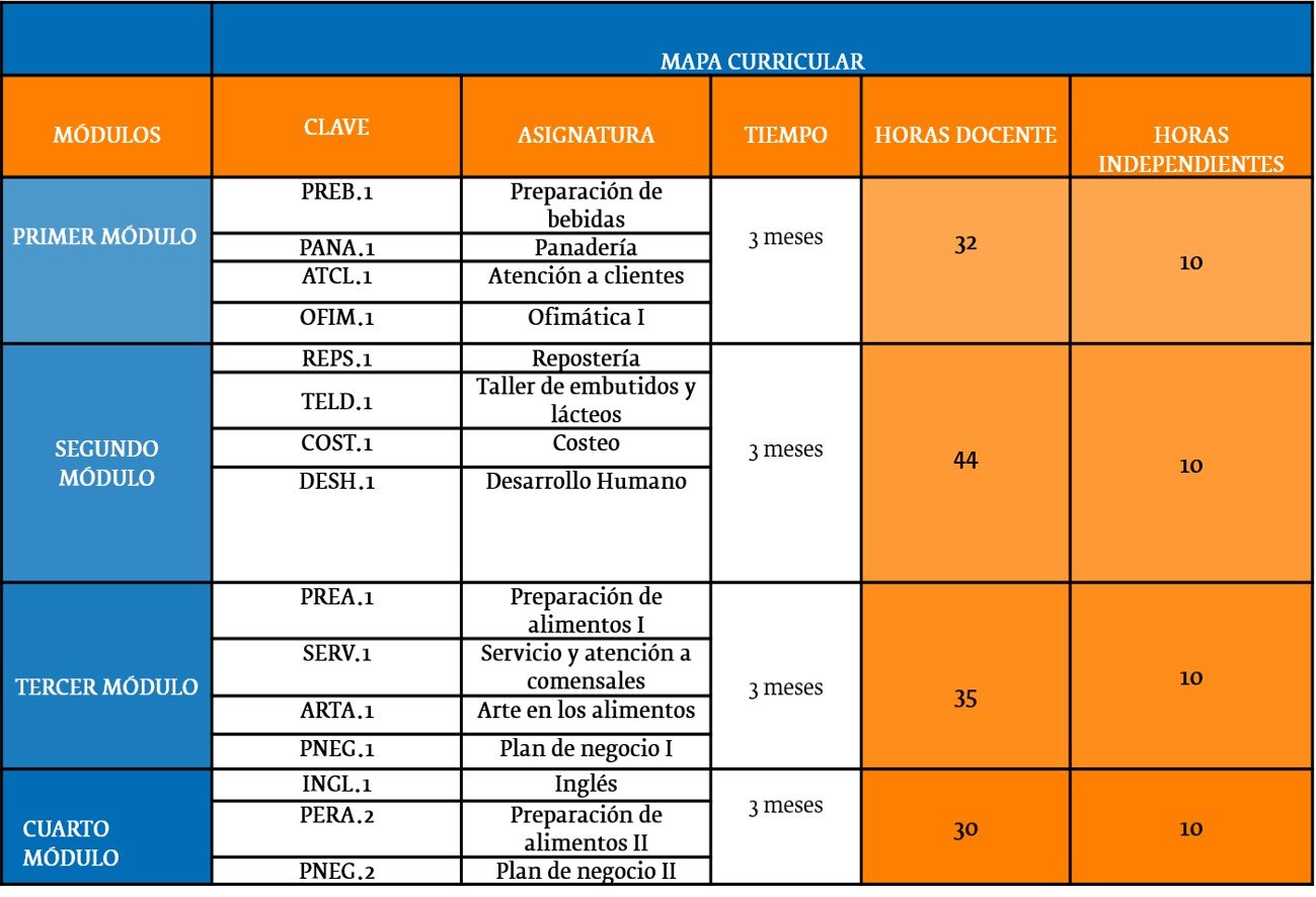 Mapa curricular de Auxiliar Técnico en Gastronomía